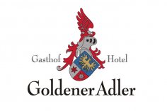 40x60 logo goldener adler